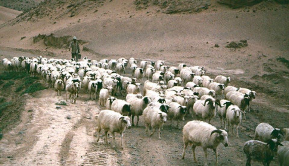 宁夏小巷深处的独特风情与隐藏特色小店探秘